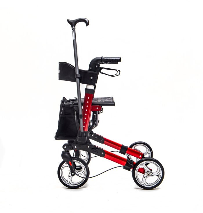 Lauko vaikštynė su 4 ratukais fargo - Image 2